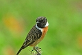 17 04 14_3151_edited-1